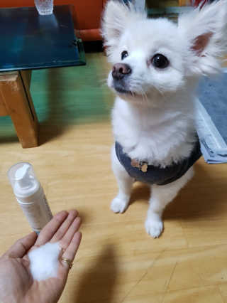 밍크찡님이 올린 리뷰 사진 1