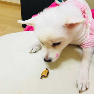 석가모뉘님이 올린 리뷰 사진 2