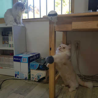 mkyung_c님이 올린 리뷰 사진 2