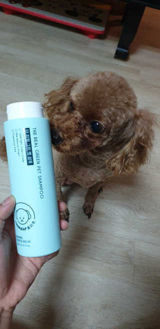 NuRiLee님이 올린 리뷰 사진 1