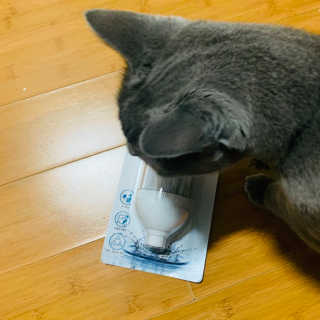 hiyeoni님이 올린 리뷰 사진 1