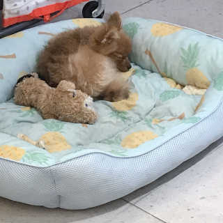 Bella님이 올린 리뷰 사진 3