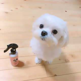 민콩님이 올린 리뷰 사진 2