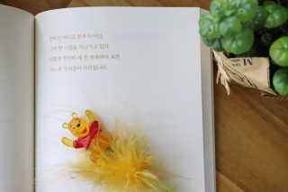 엘리님이 올린 리뷰 사진 4