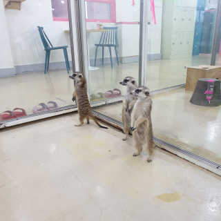 때잉님이 올린 리뷰 사진 2