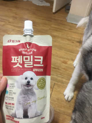 [빙그레] 에버그로 생유산균 1봉（10포입）+펫밀크2팩 — 4점을 준 리뷰어가 2019년 5월 올린 사용 사진
