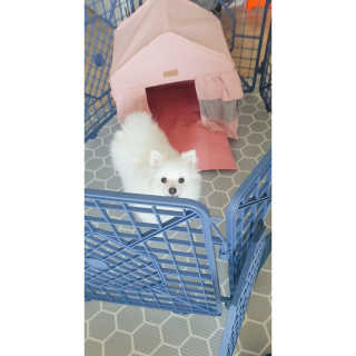 심쿵해에님이 올린 리뷰 사진 3