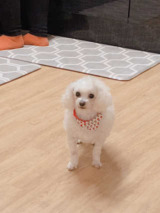 모모님이 올린 리뷰 사진 1