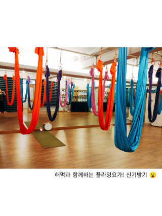 마리쏠님이 올린 리뷰 사진 4