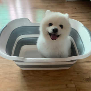 hj님이 올린 리뷰 사진 3