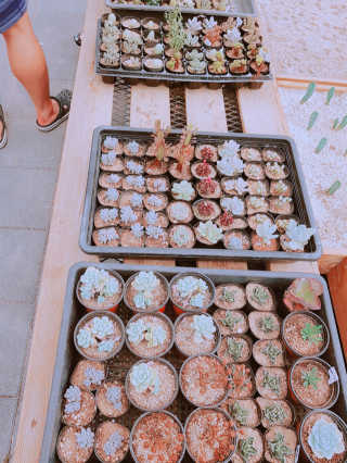SueunKwon님이 올린 리뷰 사진 3