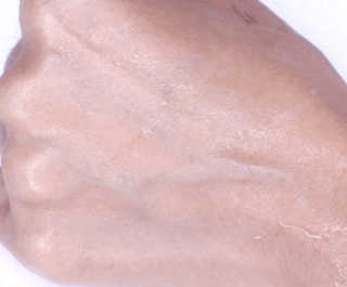 아리하이님이 올린 리뷰 사진 3