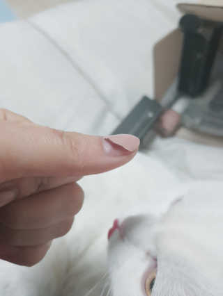 논지님이 올린 리뷰 사진 3
