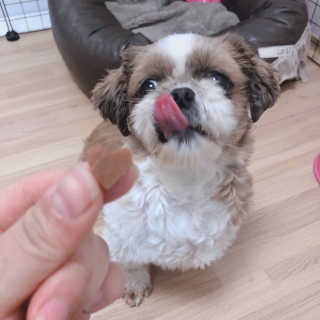 여니별이님이 올린 리뷰 사진 1