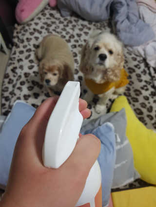 조소민님이 올린 리뷰 사진 3
