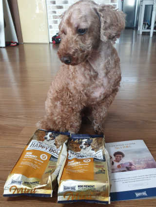 삐삐맘님이 올린 리뷰 사진 2