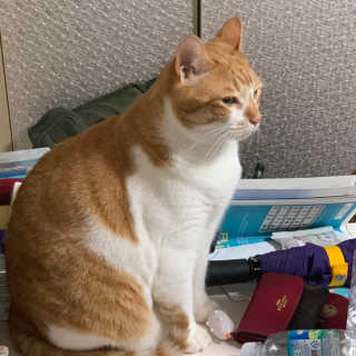 ollie님이 올린 리뷰 사진 1