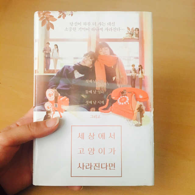 세상에서 고양이가 사라진다면 리뷰 사진