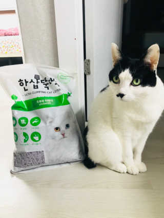 [펫토리아] BEST 고양이두부모래 6L 한삽뚝딱 — 5점을 준 리뷰어가 2018년 12월 올린 사용 사진
