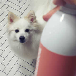 손바닥님이 올린 리뷰 사진 2
