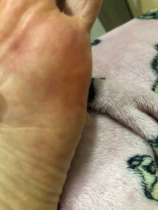 신꿀님이 올린 리뷰 사진 3
