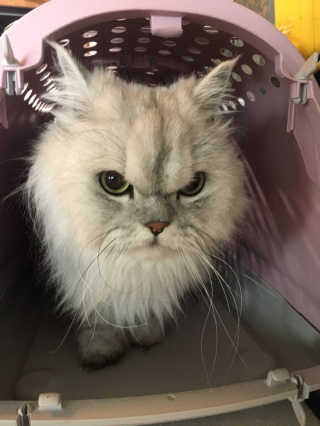 럽S하3님이 올린 리뷰 사진 1