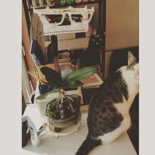 박현진님이 올린 리뷰 사진 1