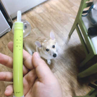 달콤쌉쌀쇼콜라님이 올린 리뷰 사진 1
