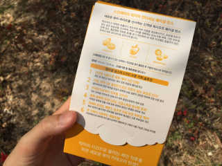 루치아님이 올린 리뷰 사진 3