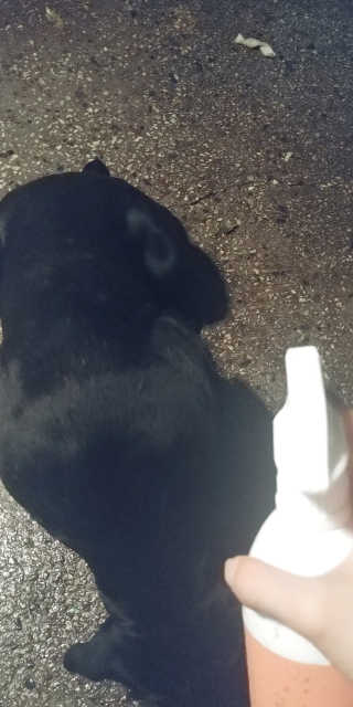 달끼님이 올린 리뷰 사진 1