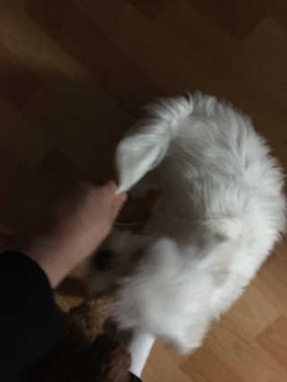 꽃순희님이 올린 리뷰 사진 3