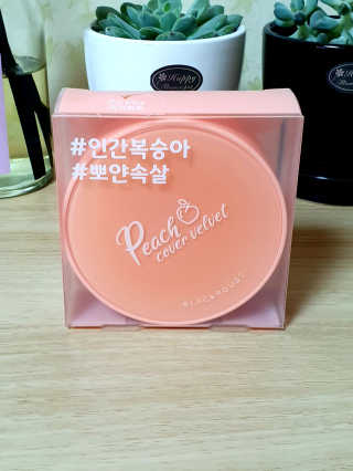 [블랙루즈] 피치 커버 벨벳 쿠션 2종 중 택1 — 4점을 준 리뷰어가 2019년 9월 올린 사용 사진