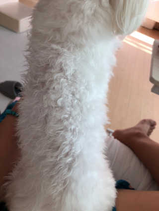 율리킴님이 올린 리뷰 사진 3