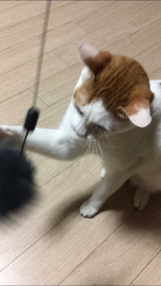 yooon❤️님이 올린 리뷰 사진 2