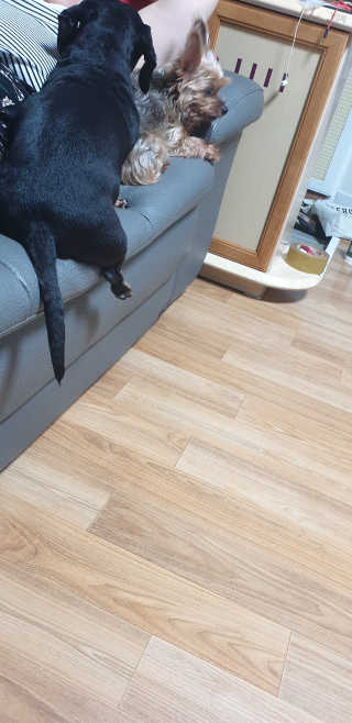 민블리님이 올린 리뷰 사진 3