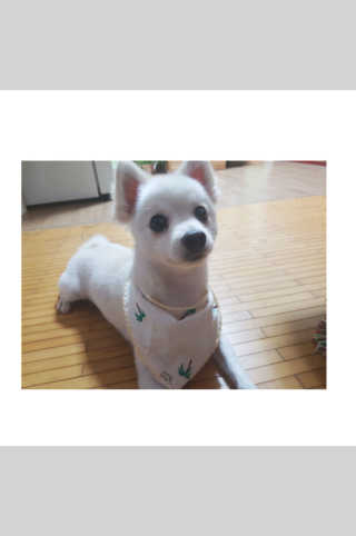 조민주님이 올린 리뷰 사진 1