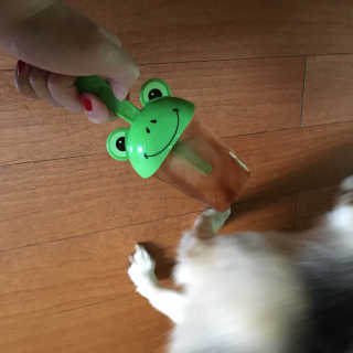 솜솜님이 올린 리뷰 사진 2