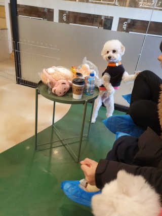 스누피1212님이 올린 리뷰 사진 3