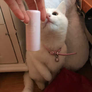 주현님이 올린 리뷰 사진 1