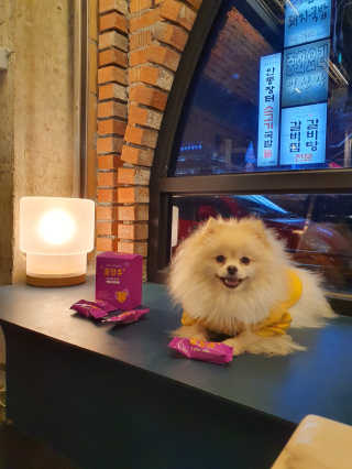 뚱이땅콩맘님이 올린 리뷰 사진 3