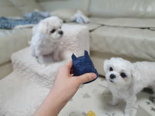 Lauren님이 올린 리뷰 사진 2