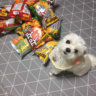 당근님이 올린 리뷰 사진 2