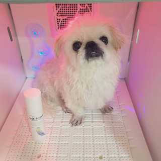 mini unni님이 올린 리뷰 사진 4