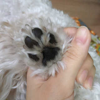 설량님이 올린 리뷰 사진 3