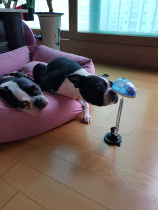 슈기슈기님이 올린 리뷰 사진 1