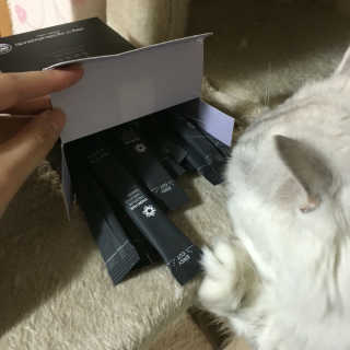 요타짱님이 올린 리뷰 사진 1