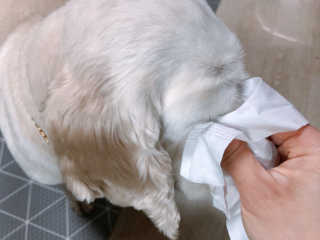 cobemom님이 올린 리뷰 사진 3