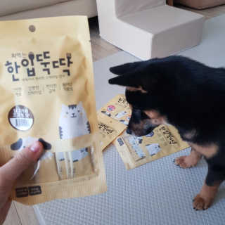 [펫토리아] 강아지,고양이겸용 짜먹는 한입뚝딱 — 4.5점을 준 리뷰어가 2019년 2월 올린 사용 사진