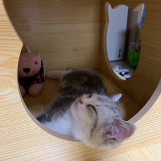 이가빈님이 올린 리뷰 사진 3