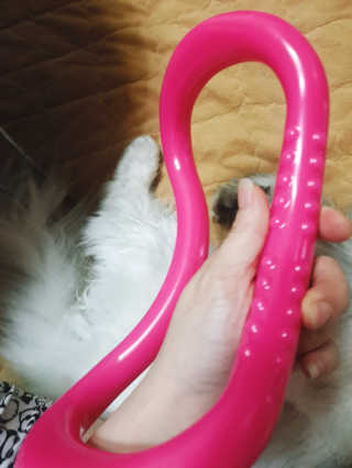 이영실님이 올린 리뷰 사진 1
